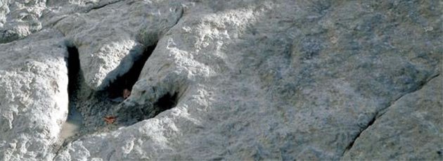 Huella de terópodo (Imagen: www.lariojaturismo.com)